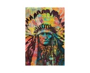 ICANVAS "NATIVE AMERICAN II" BY DEAN RUSSO CANVAS PRINT